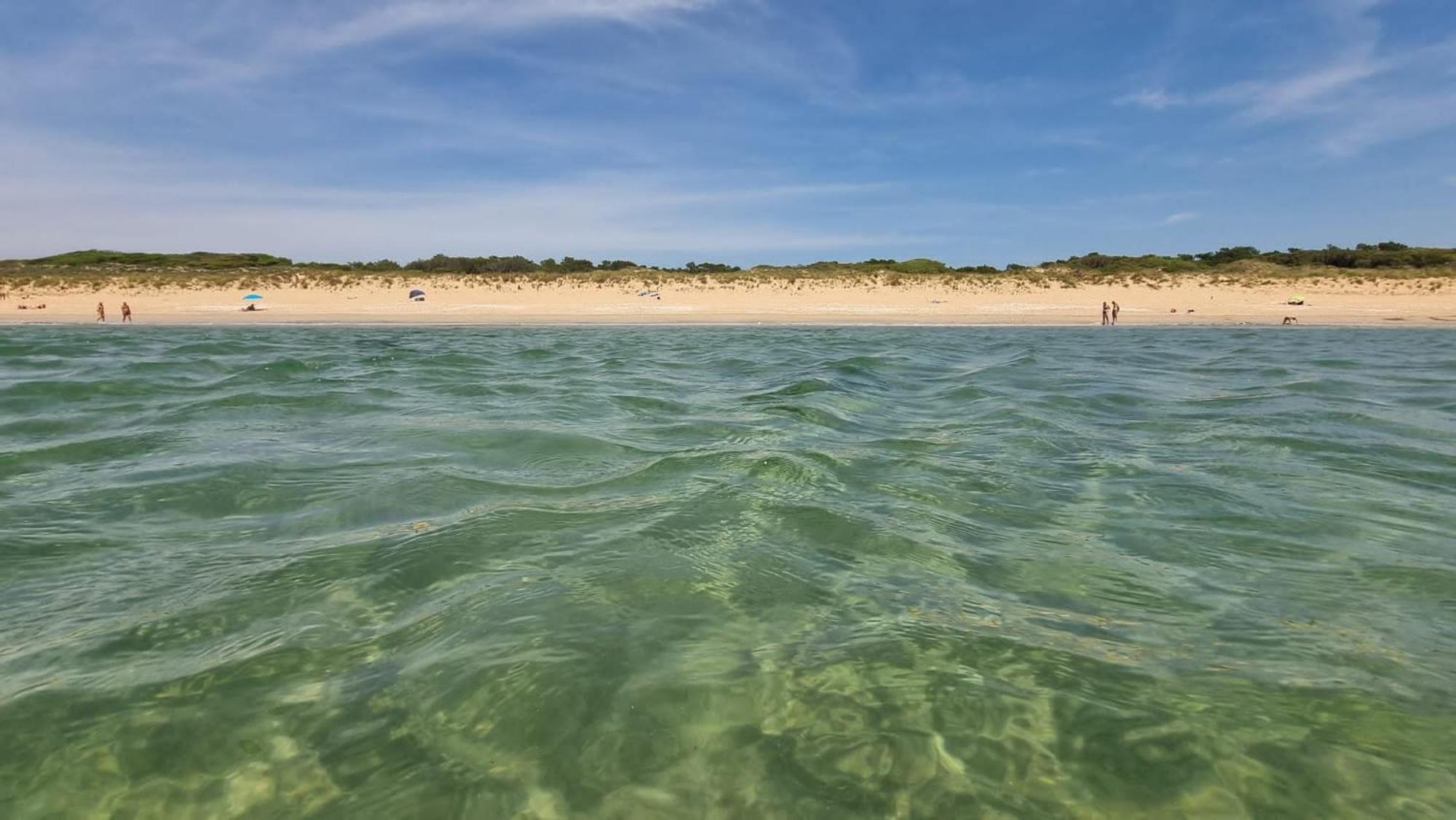 Le Chai & L'Ecurie - Gites De Charme Entre Plages Et Coeur De Village Dolus d'Oléron Exteriör bild